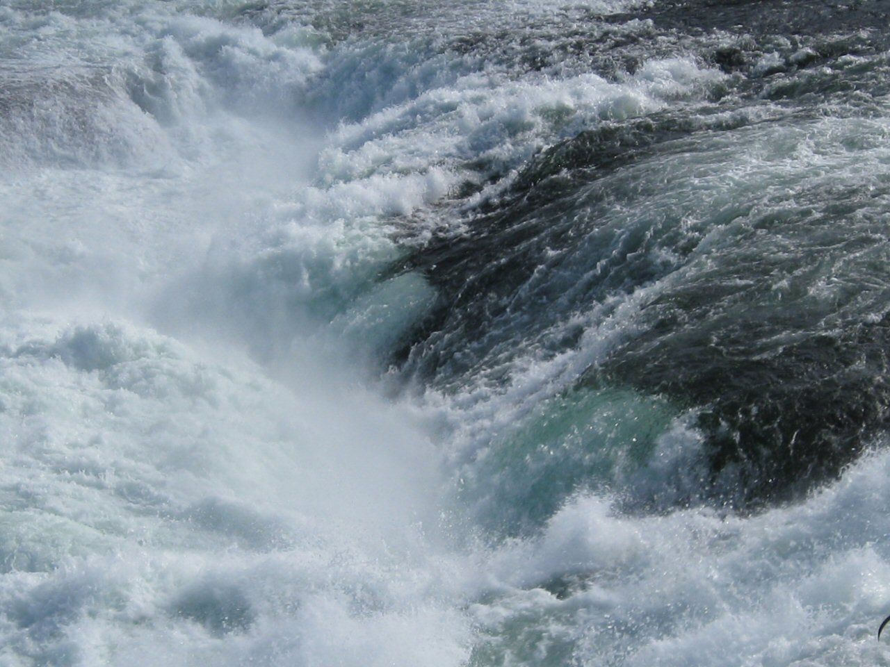 {img_alt}